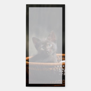 Cutest Baby Animals   Kitten in Basket Magnetic Notepad