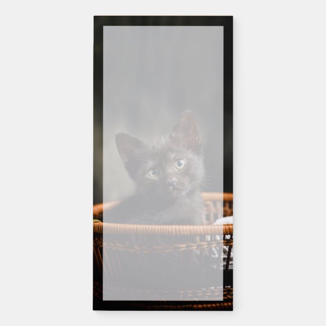 Cutest Baby Animals | Kitten in Basket Magnetic Notepad (Front)