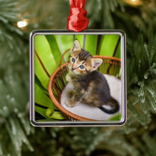Cutest Baby Animals  Kitten in Basket Metal Ornament