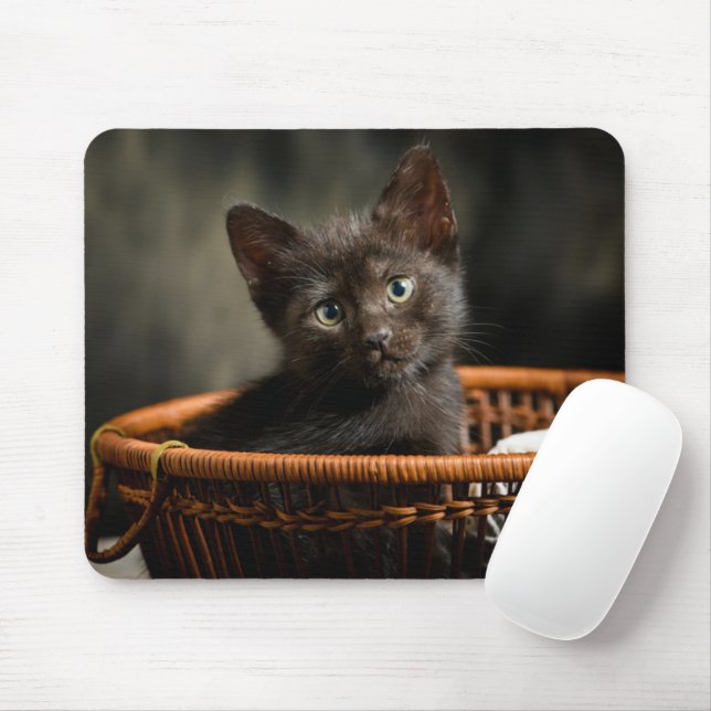 Cutest Baby Animals | Kitten in Basket Mouse Pad (With Mouse)