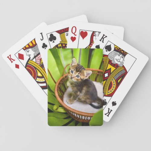 Cutest Baby Animals  Kitten in Basket Poker Cards