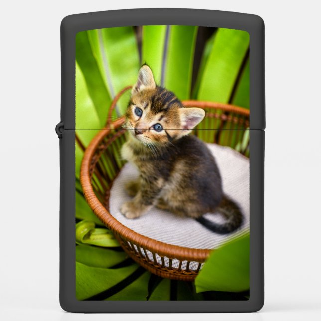Cutest Baby Animals | Kitten in Basket Zippo Lighter (Front)