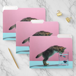 Cutest Baby Animals Kitten Looking at Fish Bowl File Folder