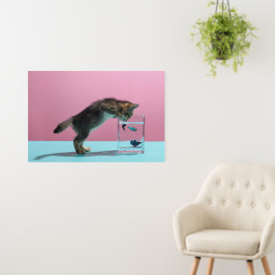 Cutest Baby Animals Kitten Looking at Fish Bowl Foam Board