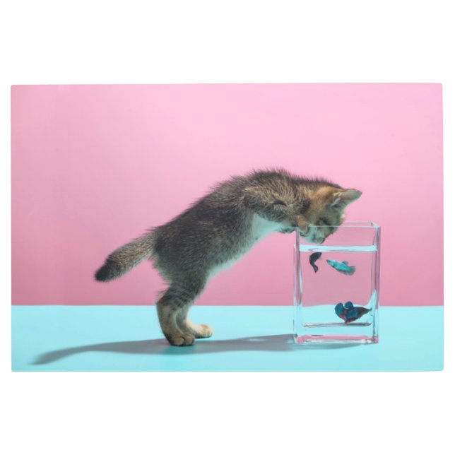 Cutest Baby Animals | Kitten Looking at Fish Bowl Metal Print (Front)