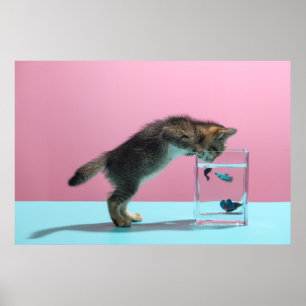 Cutest Baby Animals Kitten Looking at Fish Bowl Poster