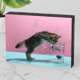 Cutest Baby Animals Kitten Looking at Fish Bowl Wooden Box Sign