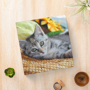 Cutest Baby Animals   Kitten Lounging 3 Ring Binder