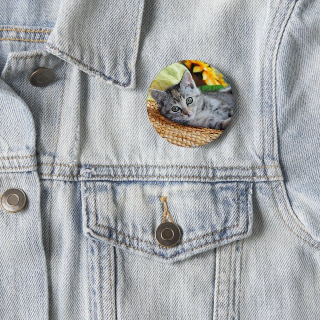 Cutest Baby Animals | Kitten Lounging Button (In Situ)