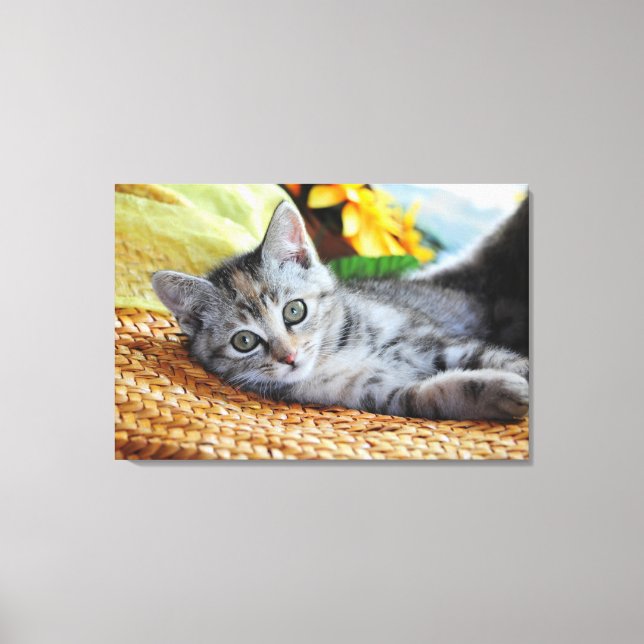 Cutest Baby Animals | Kitten Lounging Canvas Print (Front)