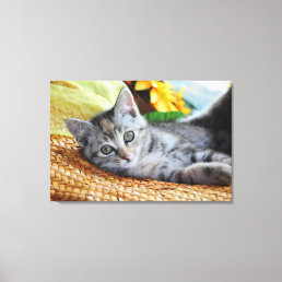 Cutest Baby Animals | Kitten Lounging Canvas Print