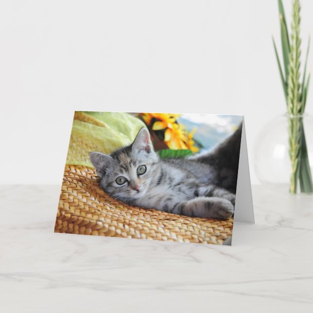 Cutest Baby Animals | Kitten Lounging Card (Front)
