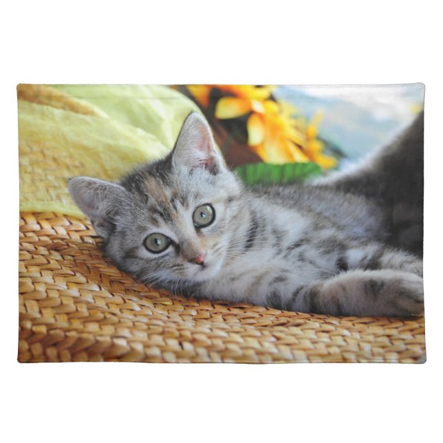 Cutest Baby Animals | Kitten Lounging Cloth Placemat (Front)