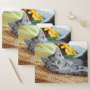 Cutest Baby Animals Kitten Lounging File Folder