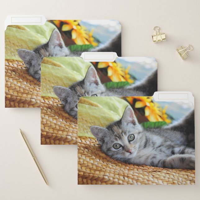 Cutest Baby Animals | Kitten Lounging File Folder (Set)