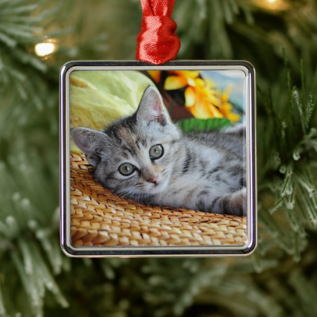 Cutest Baby Animals | Kitten Lounging Metal Ornament (Tree)