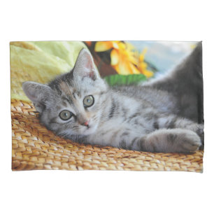 Cutest Baby Animals   Kitten Lounging Pillow Case