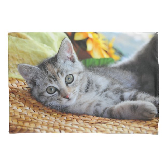 Cutest Baby Animals | Kitten Lounging Pillow Case (Front)