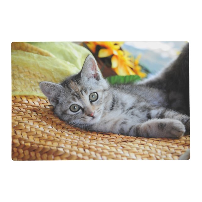 Cutest Baby Animals | Kitten Lounging Placemat (Front)