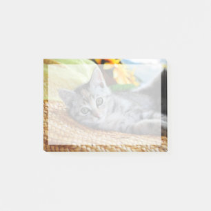 Cutest Baby Animals Kitten Lounging Post-it Notes