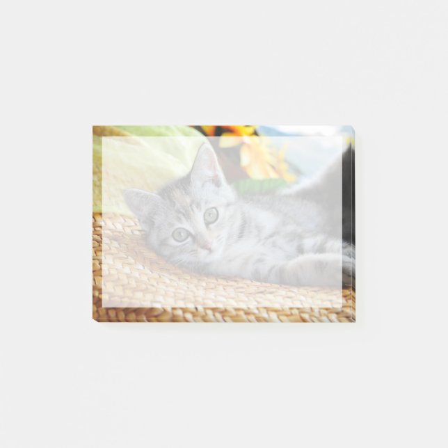 Cutest Baby Animals | Kitten Lounging Post-it Notes (Front)
