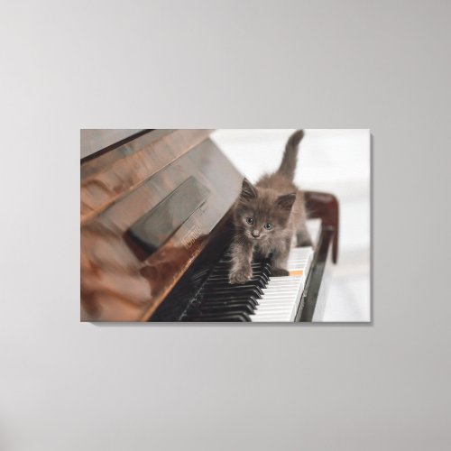 Cutest Baby Animals  Kitten on Piano Canvas Print