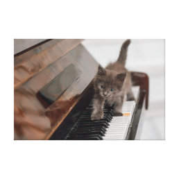 Cutest Baby Animals | Kitten on Piano Canvas Print