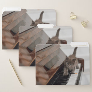 Cutest Baby Animals   Kitten on Piano File Folder