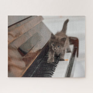 Cutest Baby Animals Kitten on Piano Jigsaw Puzzle