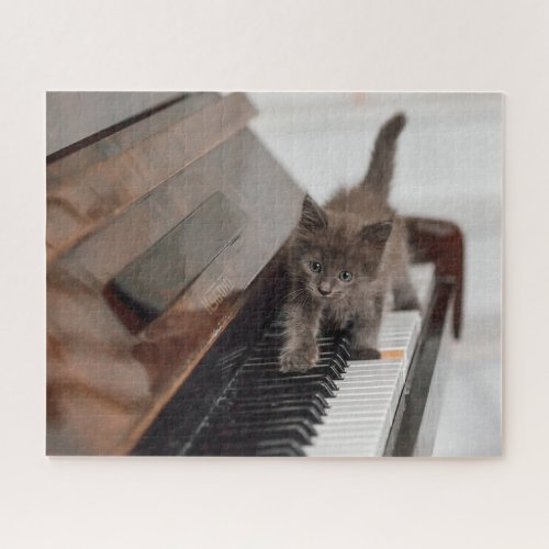 Cutest Baby Animals  Kitten on Piano Jigsaw Puzzle