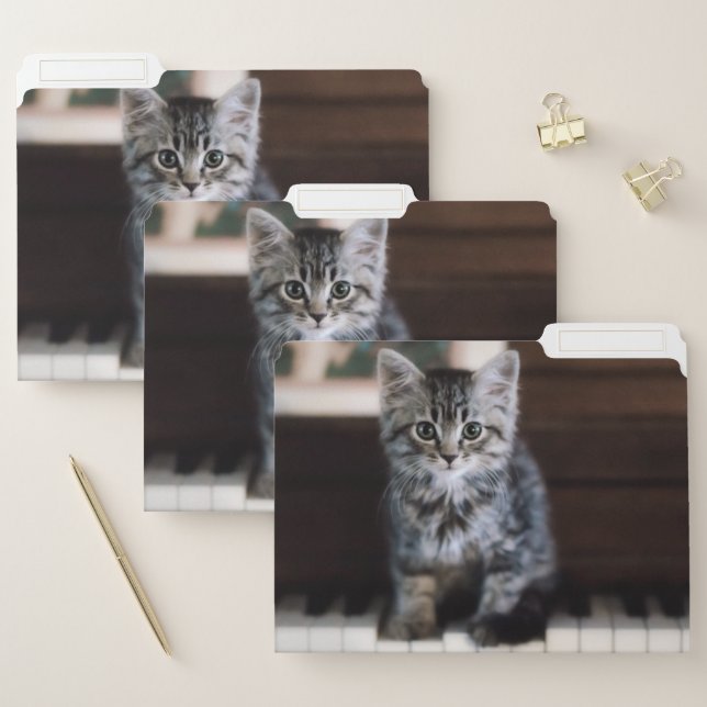 Cutest Baby Animals | Kitten on Piano Keys File Folder (Set)