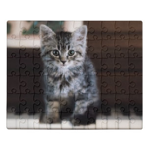 Cutest Baby Animals   Kitten on Piano Keys Jigsaw Puzzle