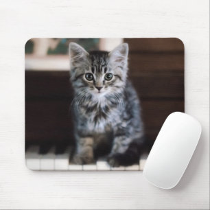 Cutest Baby Animals Kitten on Piano Keys Mouse Pad