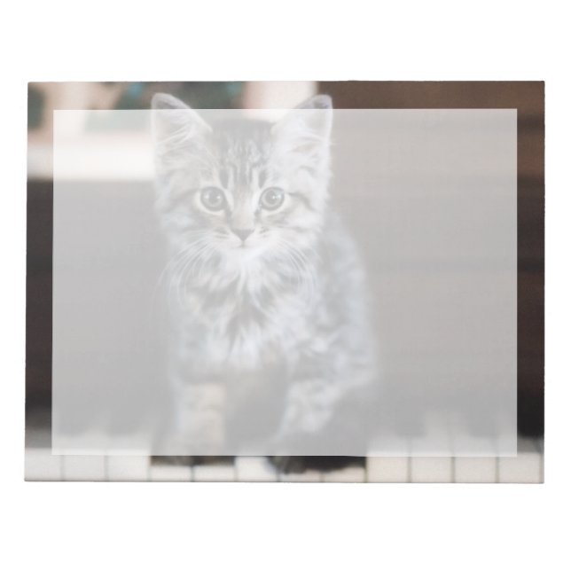 Cutest Baby Animals | Kitten on Piano Keys Notepad (Front)