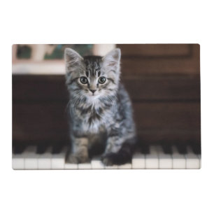 Cutest Baby Animals Kitten on Piano Keys Placemat