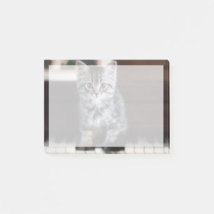 Cutest Baby Animals Kitten on Piano Keys Post-it Notes