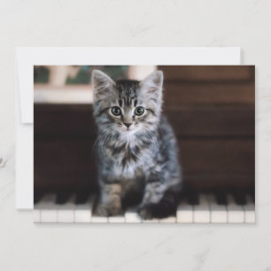 Cutest Baby Animals Kitten on Piano Keys Thank You Card