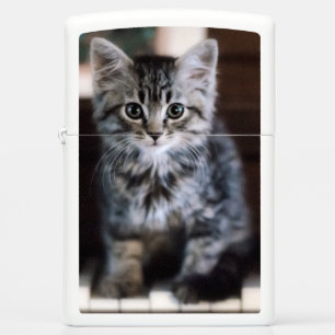 Cutest Baby Animals Kitten on Piano Keys Zippo Lighter