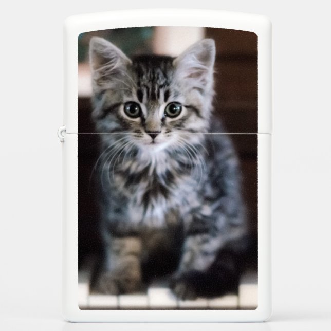 Cutest Baby Animals | Kitten on Piano Keys Zippo Lighter (Front)