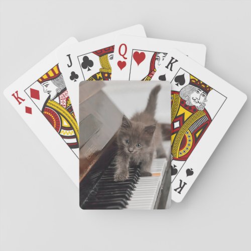 Cutest Baby Animals  Kitten on Piano Poker Cards