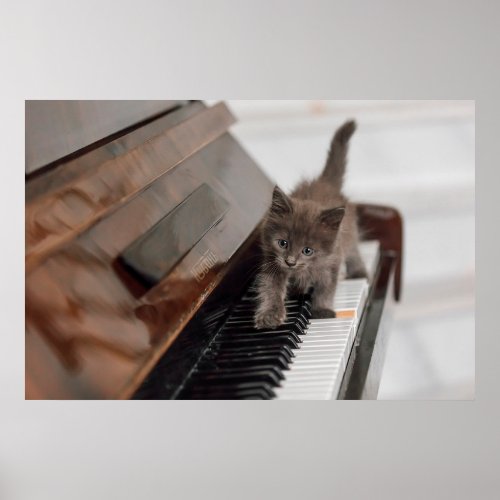 Cutest Baby Animals  Kitten on Piano Poster