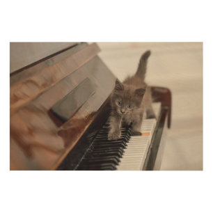 Cutest Baby Animals Kitten on Piano Wood Wall Art