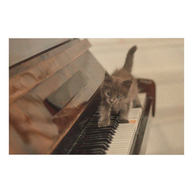 Cutest Baby Animals | Kitten on Piano Wood Wall Art (Front)