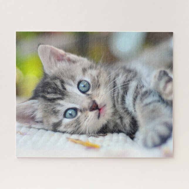 Cutest Baby Animals | Kitten With Blue Eyes Jigsaw Puzzle (Horizontal)