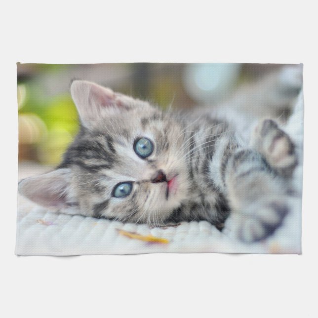 Cutest Baby Animals | Kitten With Blue Eyes Kitchen Towel (Horizontal)