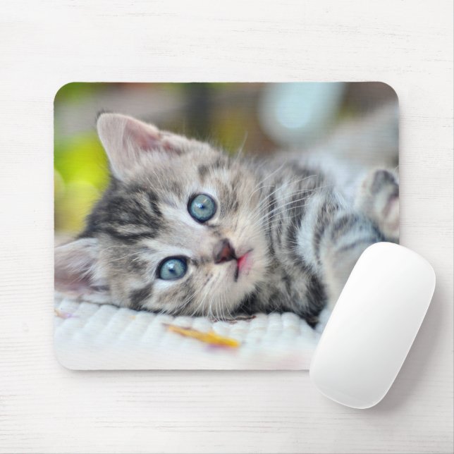Cutest Baby Animals | Kitten With Blue Eyes Mouse Pad (With Mouse)