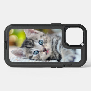 Cutest Baby Animals Kitten With Blue Eyes iPhone 13 Case