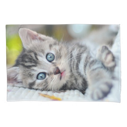 Cutest Baby Animals  Kitten With Blue Eyes Pillow Case