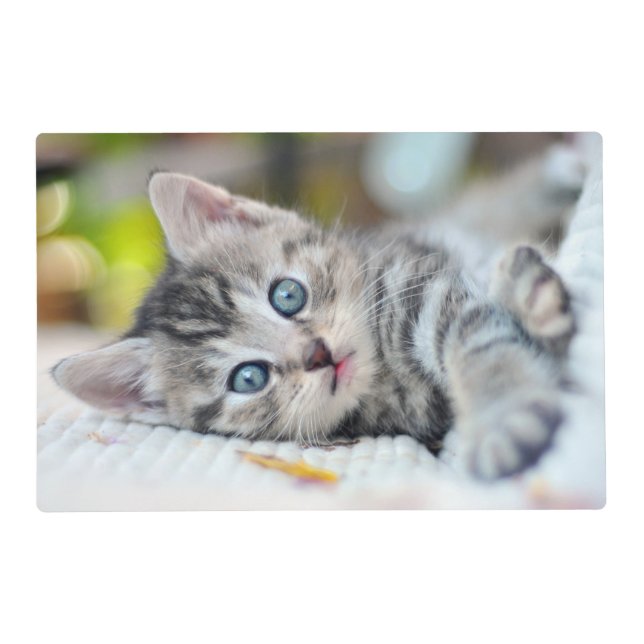 Cutest Baby Animals | Kitten With Blue Eyes Placemat (Front)