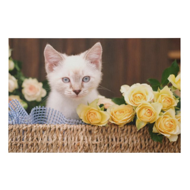 Cutest Baby Animals | Kitten & Yellow Roses Faux Canvas Print (Front)